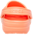 Papaya|Papaye|ALT