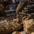 Rustic Brown|Brun rustique|ALT