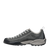 Shark|Requin|ALT