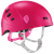 Raspberry|Framboise|PRI