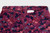 Plum Fruition Print|Imp.Pluie de prunes|ALT