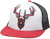 Buck|Buck|PRI