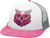 Owl|Hibou|PRI