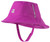 Purple Cactus|Cactus pourpre|PRI