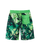 Summer Green|Summer Green|ALT