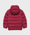 Raspberry|Framboise|ALT