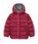 Raspberry|Framboise|PRI