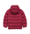 Raspberry|Framboise|ALT