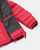 Raspberry|Framboise|ALT