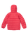 Raspberry|Framboise|ALT