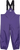 Purple Grape|Raisin violet|PRI