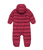 Raspberry|Framboise|ALT