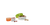 Clear/Orange/Red|Transparent/Orange/Rouge|ALT