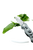 NO_COLOUR|NO_COLOUR|ALT