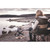 NO_COLOUR|NO_COLOUR|ALT