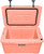 Coral|Corail|ALT