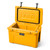Alpine Yellow|Jaune Alpin