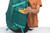 Aloe Green|Aloe Green|ALT