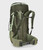 Pine/Green Olive|Pine/Green Olive|ALT