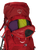 Claret Red|Claret Red|ALT