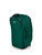 Rainforest Green|Rainforest Green|ALT