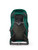Rainforest Green|Rainforest Green|ALT