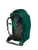Rainforest Green|Rainforest Green|ALT