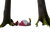 Red|Rouge|ALT
