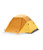 Golden Oak/Pavement 2025|Golden Oak/Pavement 2025|ALT