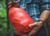 Ember Orange|Ember Orange|ALT