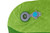 Lime|Lime|ALT