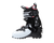 White/Black/WarmRed|Blanc/Noir/Rouge chaud|ALT