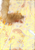 Orange Yellow|Orange jaune|ALT