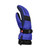 Sapphire Blue|Bleu saphir|ALT