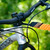 Orange|Orange|ALT