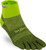 Winter Green|Winter Green|PRI