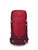 Poinsettia Red|Poinsettia Rouge|ALT