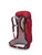 Poinsettia Red|Poinsettia Rouge|ALT