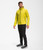 Acid Yellow|Acid Yellow|ALT