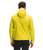Acid Yellow|Acid Yellow|ALT