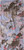 Hetch Lavender|Lavande de hetch|PRI