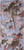 Hetch Lavender|Lavande de hetch|PRI