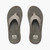 Moonrock/Brown|Moonrock/Brun