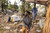 Dusty Mountain Blue|Bleu montagne poussiéreux|ALT