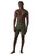 Algae Stripe|Bande d'algues