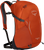 Kumquat Orange|Kumquat Orange|PRI