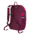 Boysenberry Next Gen Logo||ALT