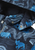Navy Animals|Animaux marines|ALT