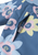 Blue Ocean|Océan Bleu|ALT
