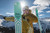 Turquoise Green|Vert Turquoise|ALT
